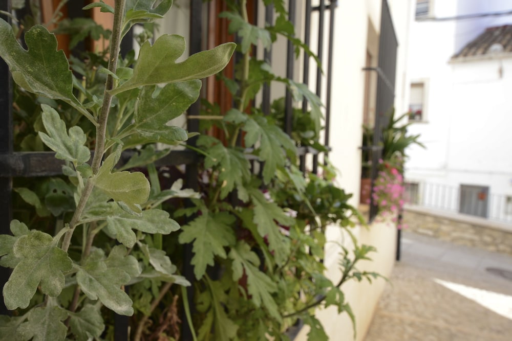 Hostal La Fonda