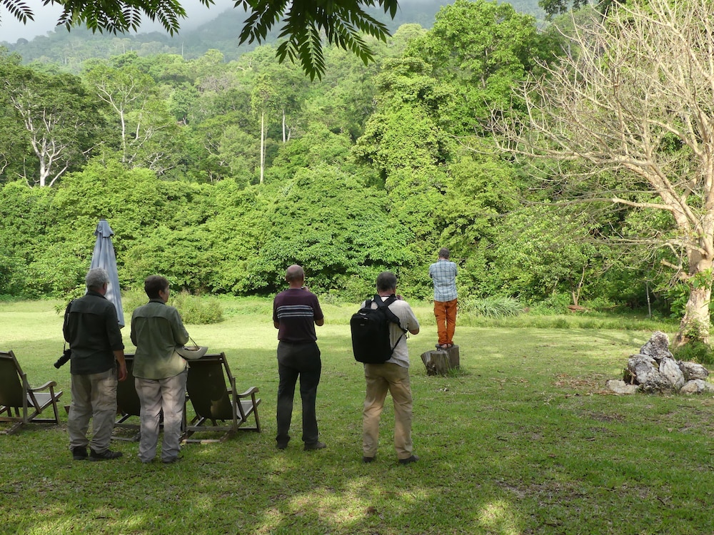 Udzungwa Forest Camp