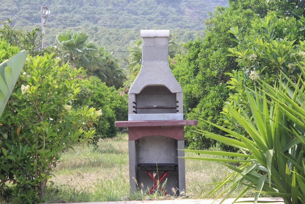 Photo 19