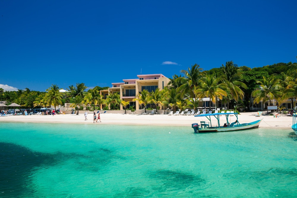 Coral Sands 4