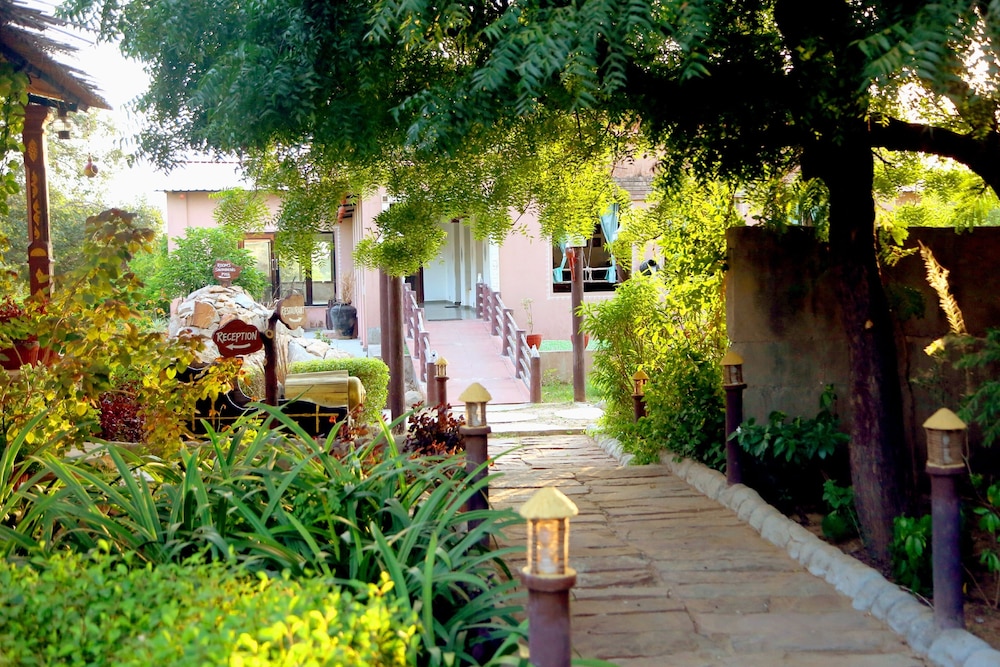 Kumbhalgarh Safari Camp