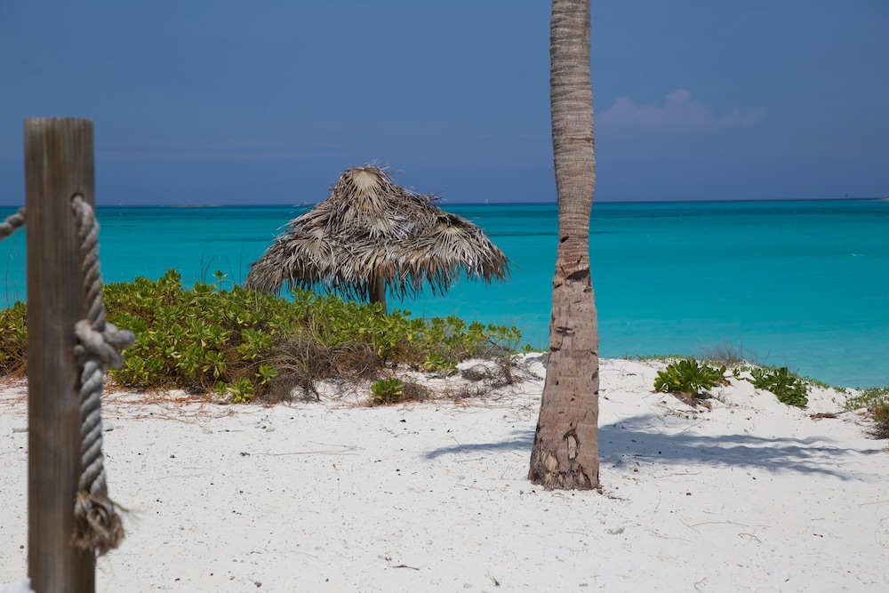 Paradise Bay - Property Image 12