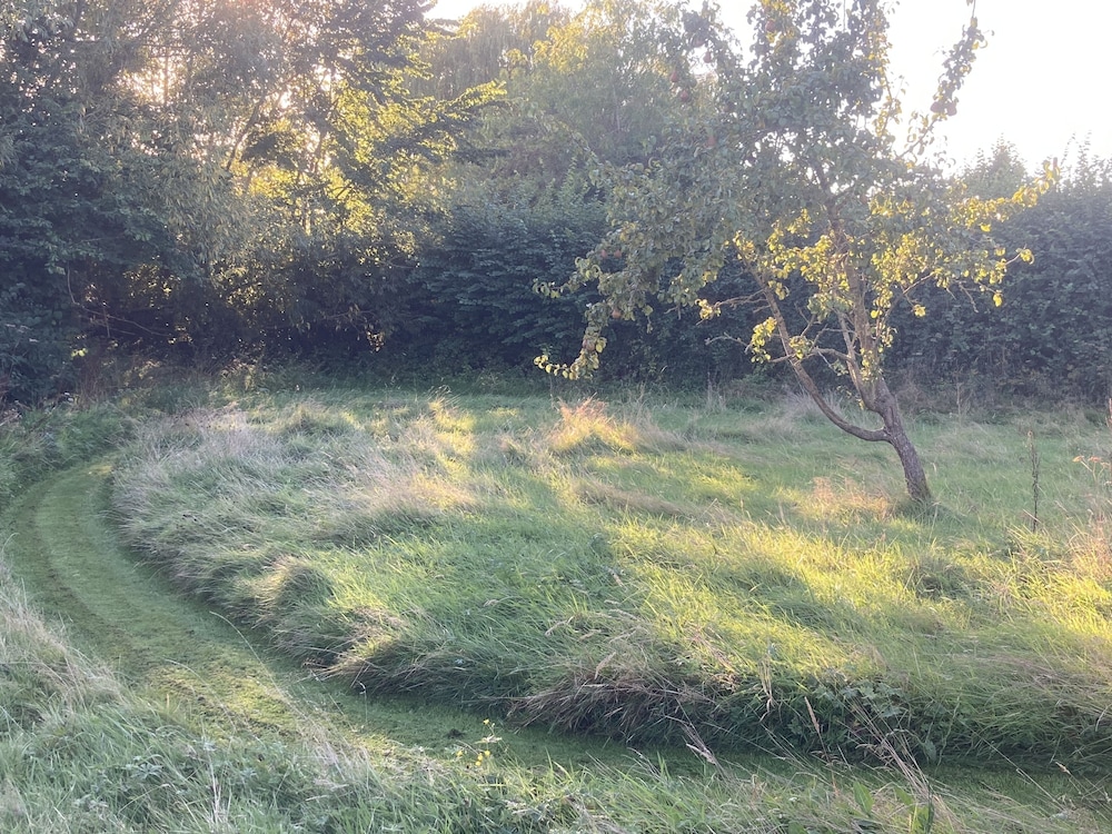 Photo 30