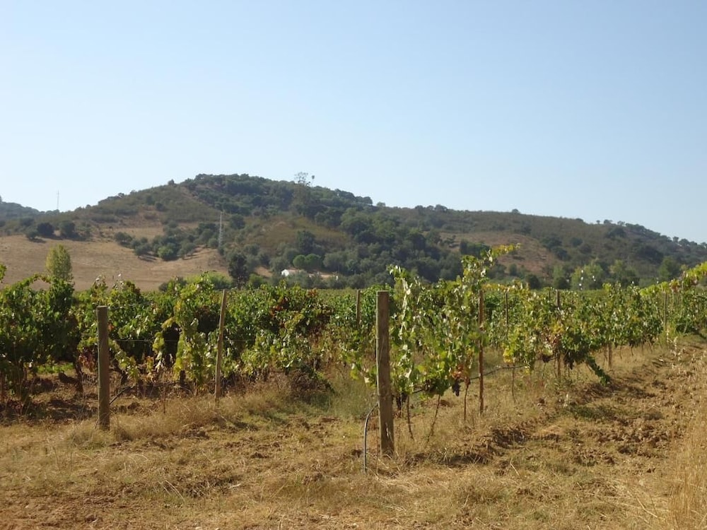 Herdade dos Montes Bastos - Property Image 28