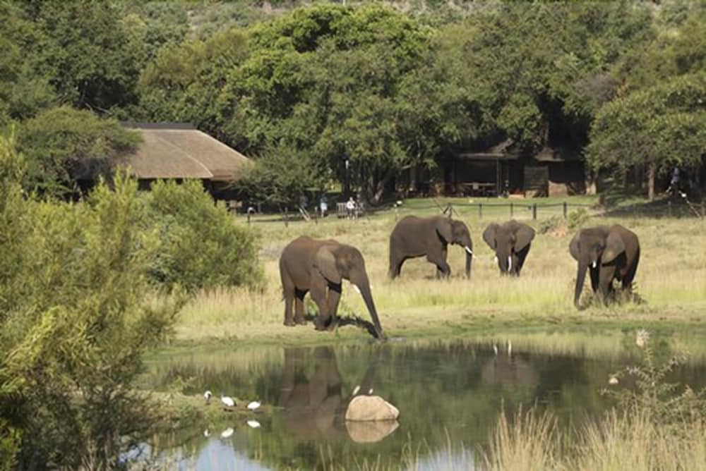 Bakubung Self-Catering Chalets