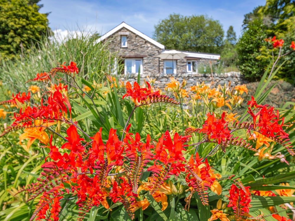 Caernarfon Vacations - Bwythyn Y Wennol - Property Image 3