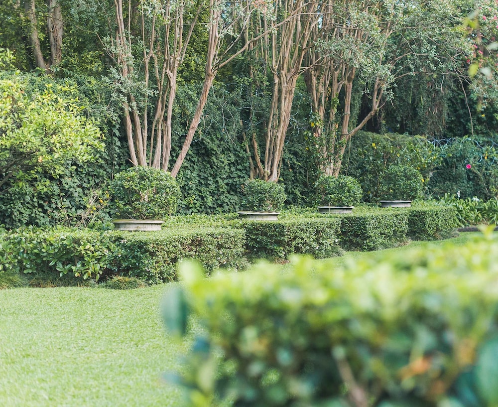 Osborne House - Guest House view 5