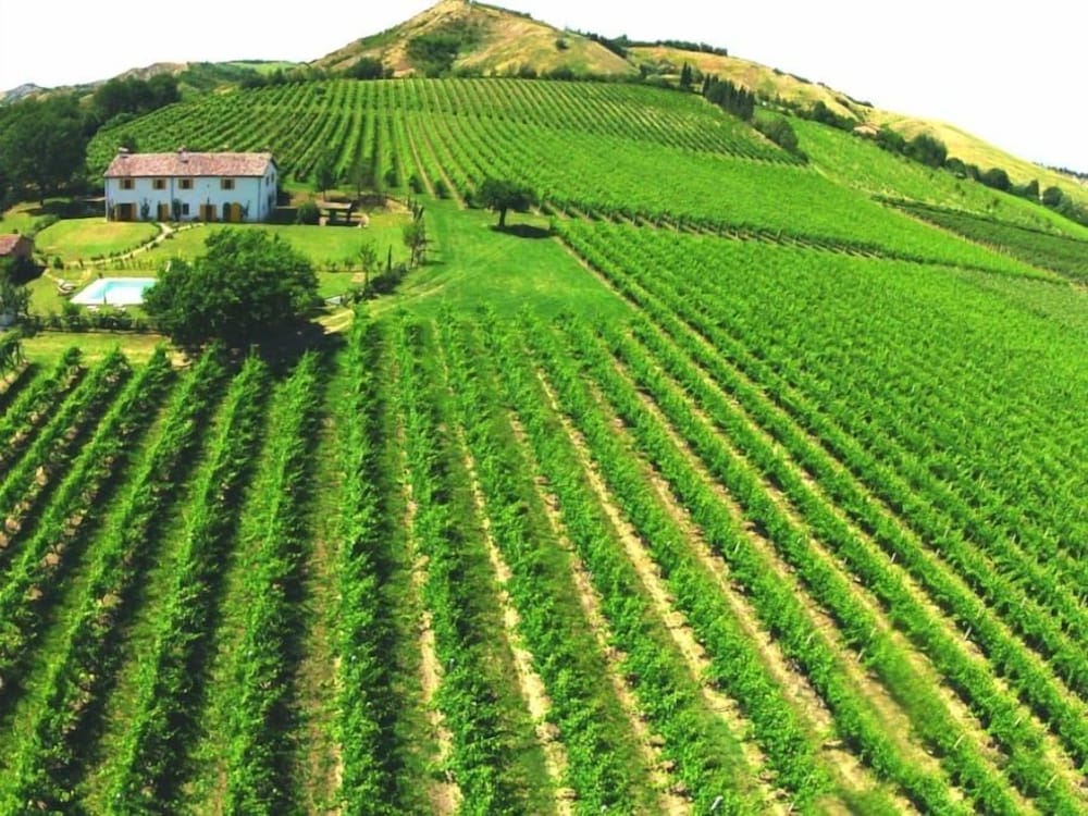Verdidea - Podere la Casetta view 5