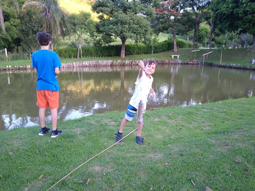Photo 33