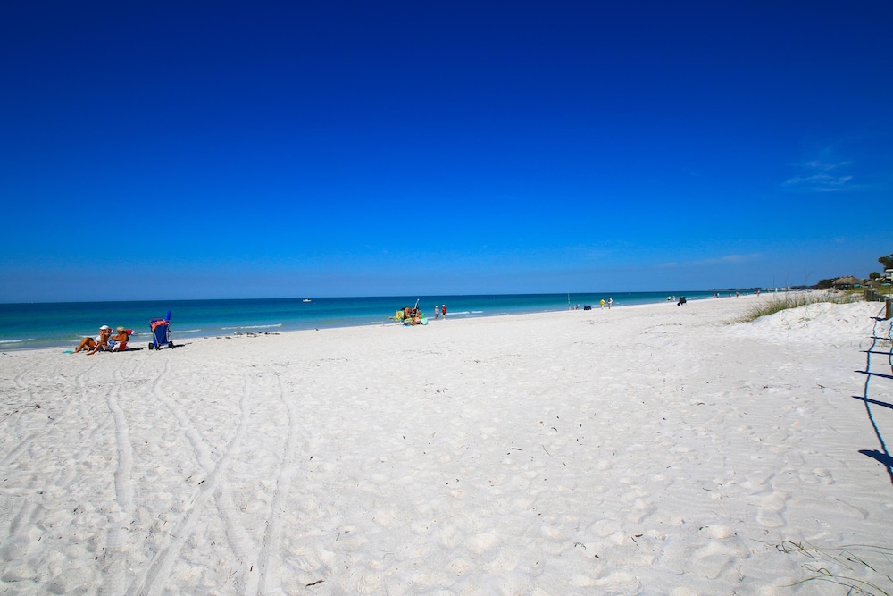 Anna Maria Island Beach Palms 7A
