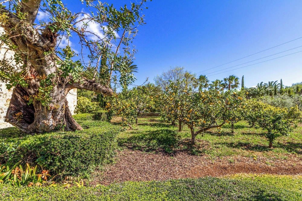 Finca Martorell