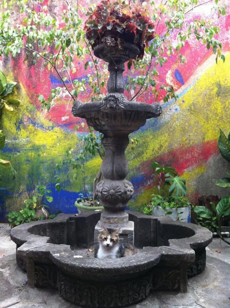 Photo 15