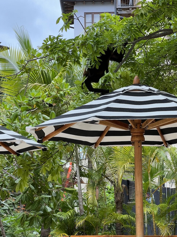 Las Catalinas - 2 BR Condo Just Steps to the Beach - Casa el Chante
