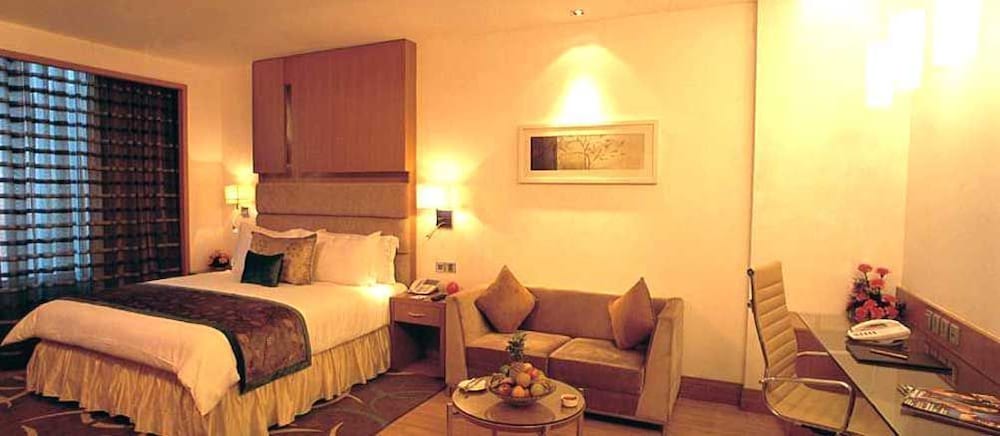 Nirvana Luxury Hotel Ludhiana view 4