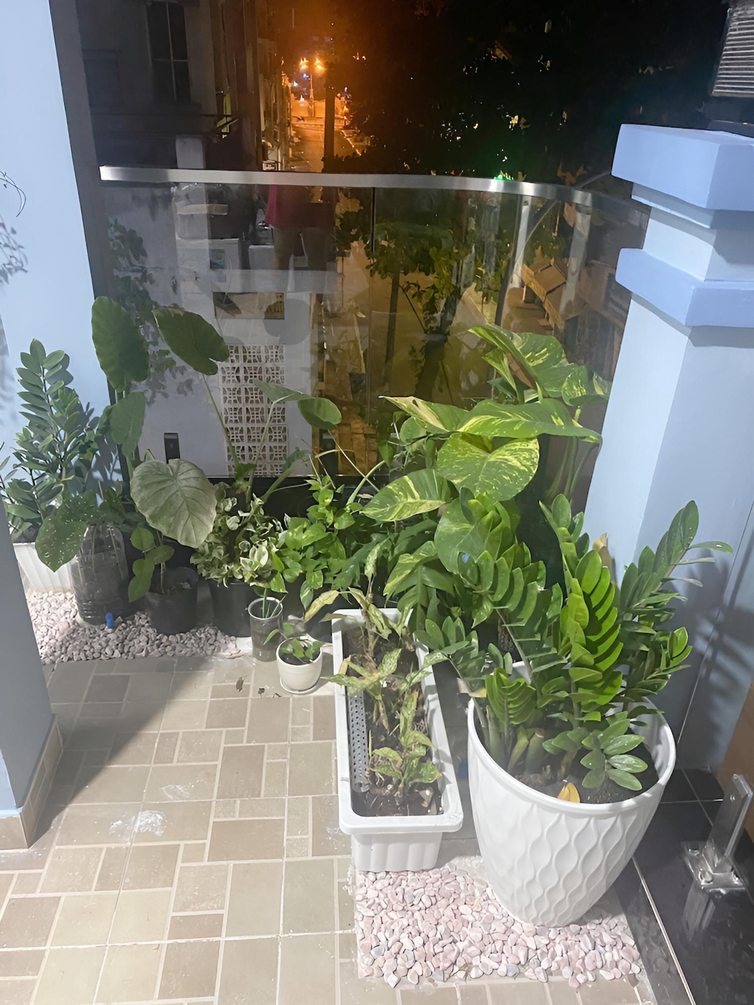 SAIGONESE Home