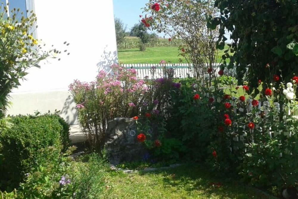 Apartment in Hergensweiler
