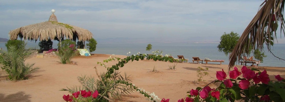 Bedouin Star
