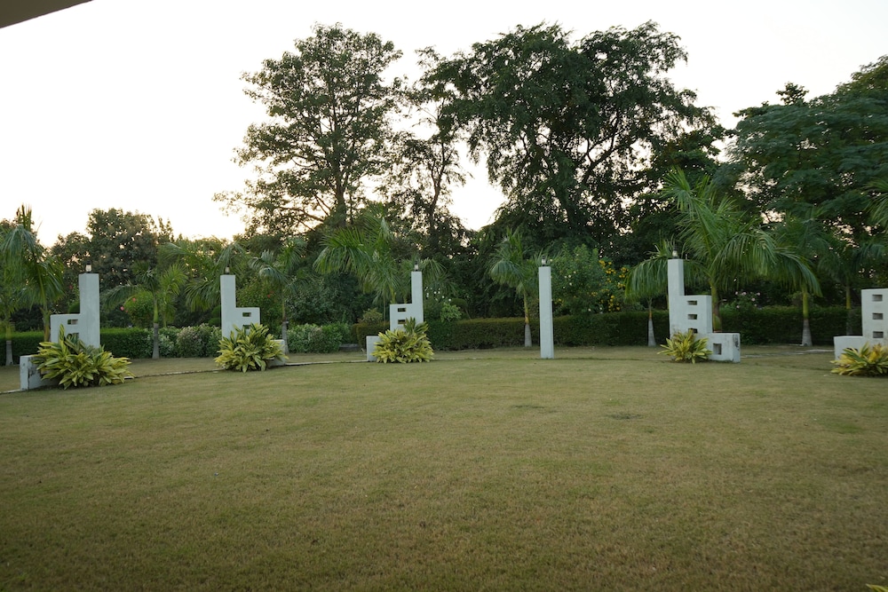 Photo 50