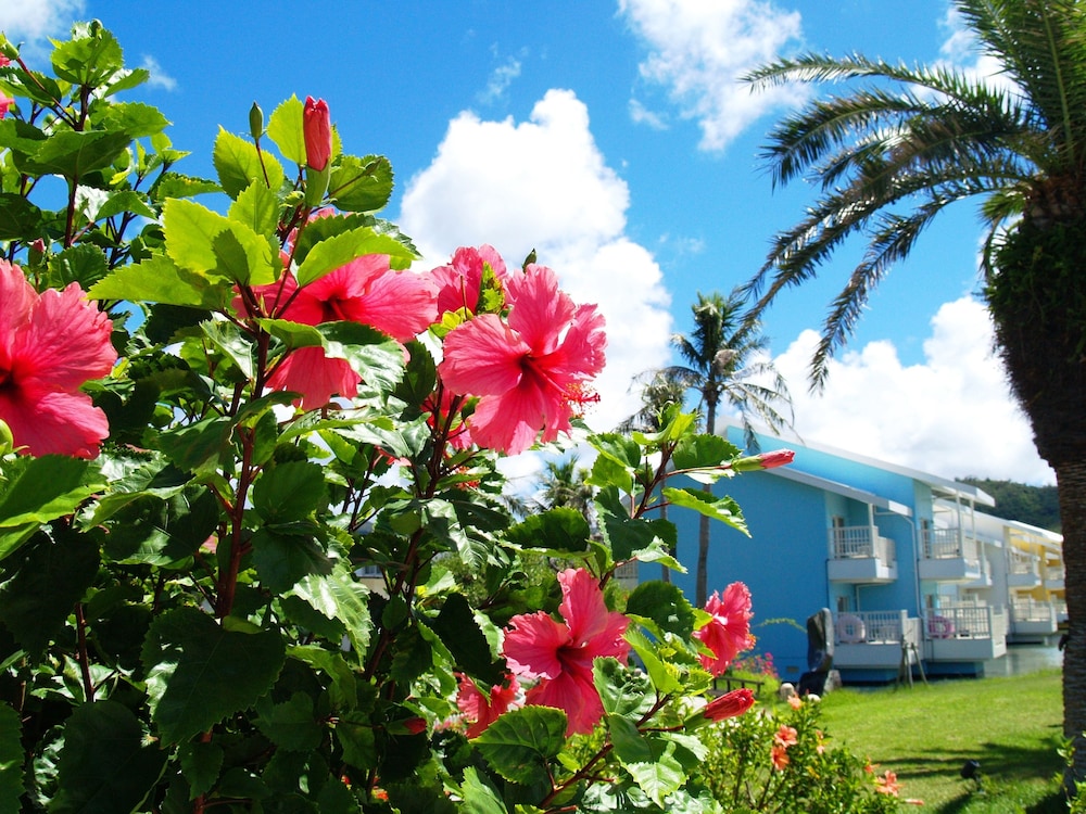 Okuma Private Beach & Resort 81