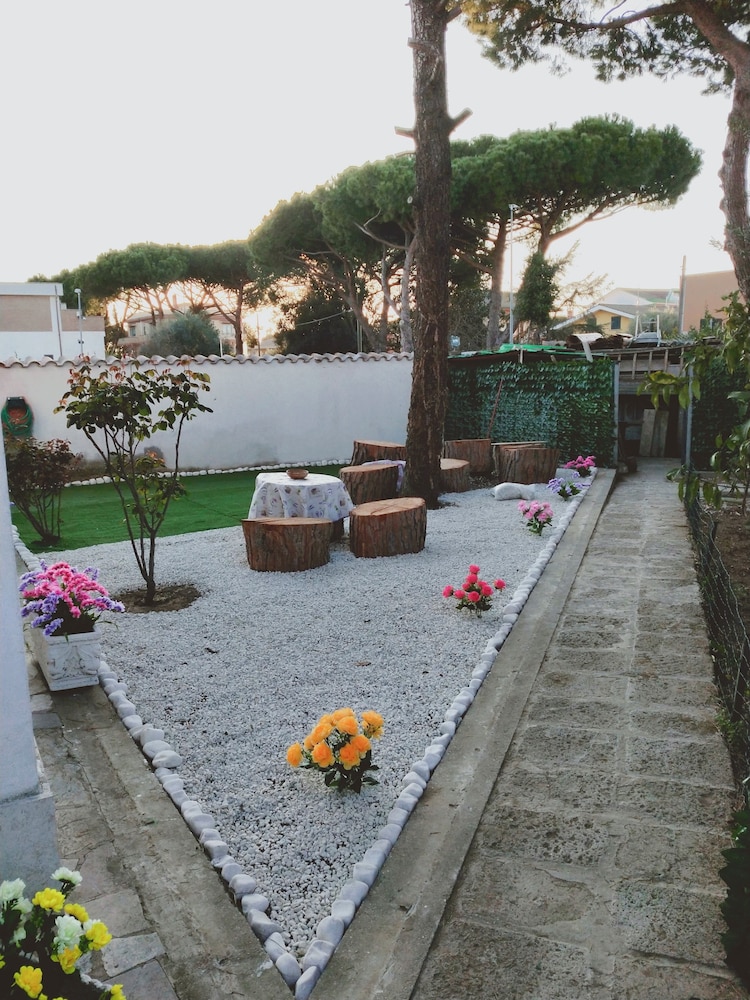 Photo 25