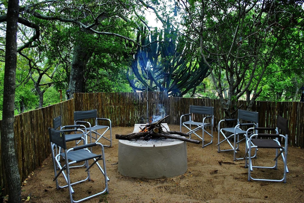 Lion Tree Top Lodge
