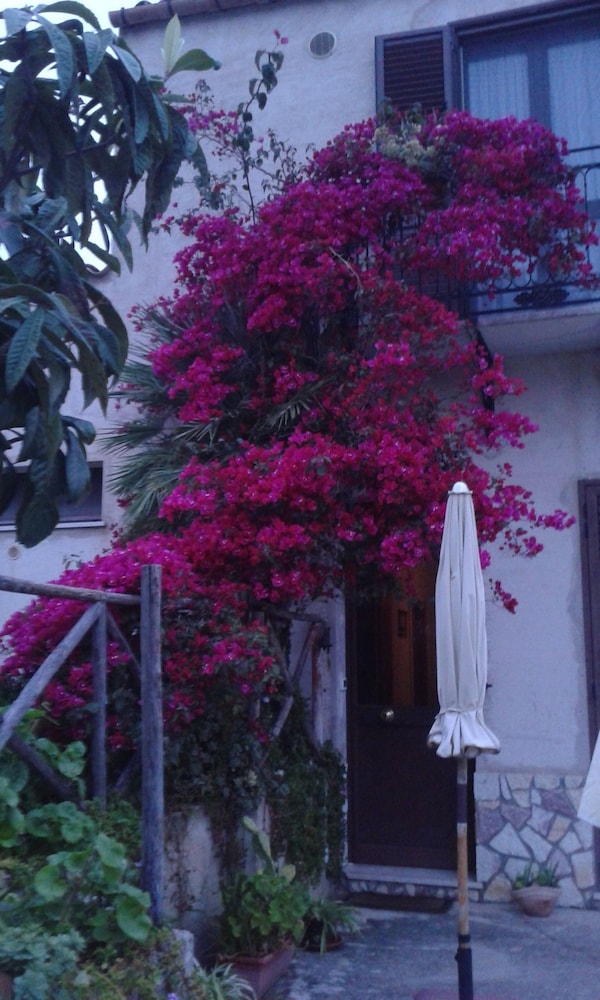 Photo 48