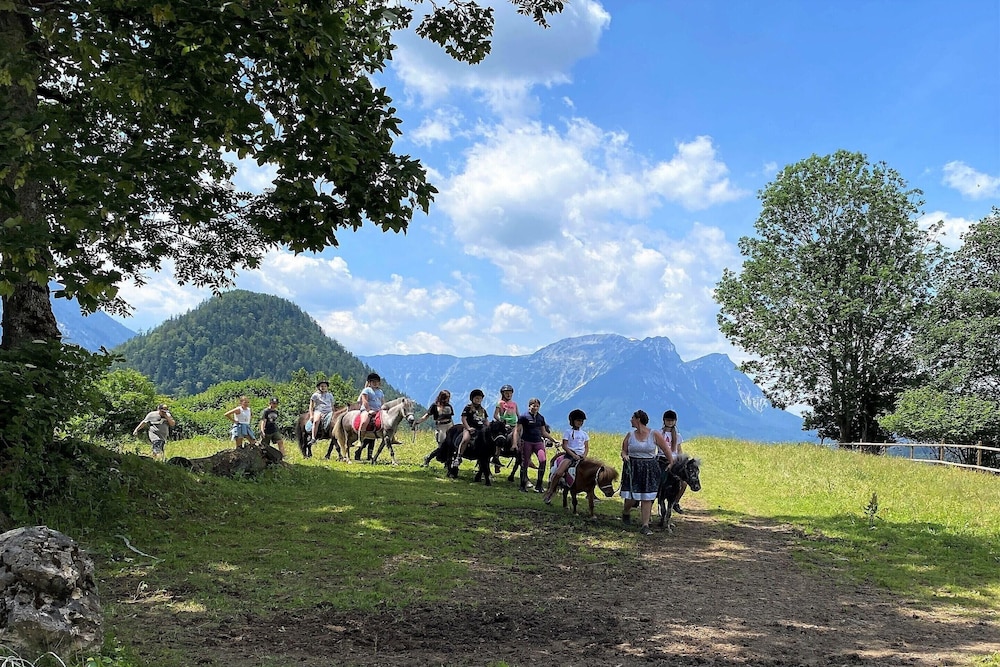 Your Holiday Home at Grundlsee and Private Sauna