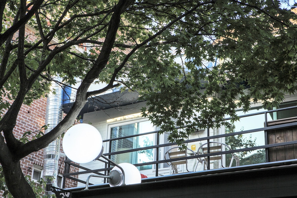 Homini Guesthouse - Hostel