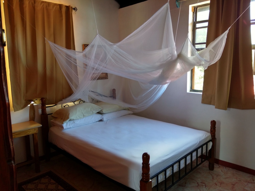 Mainroad Suite