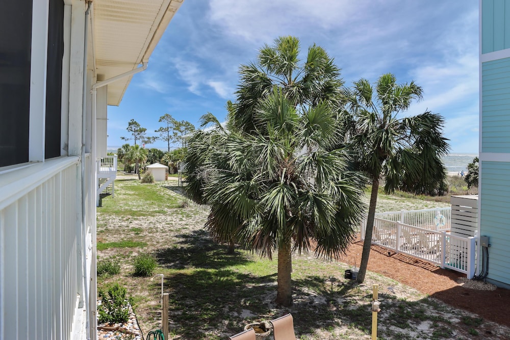 Palmetto Breeze