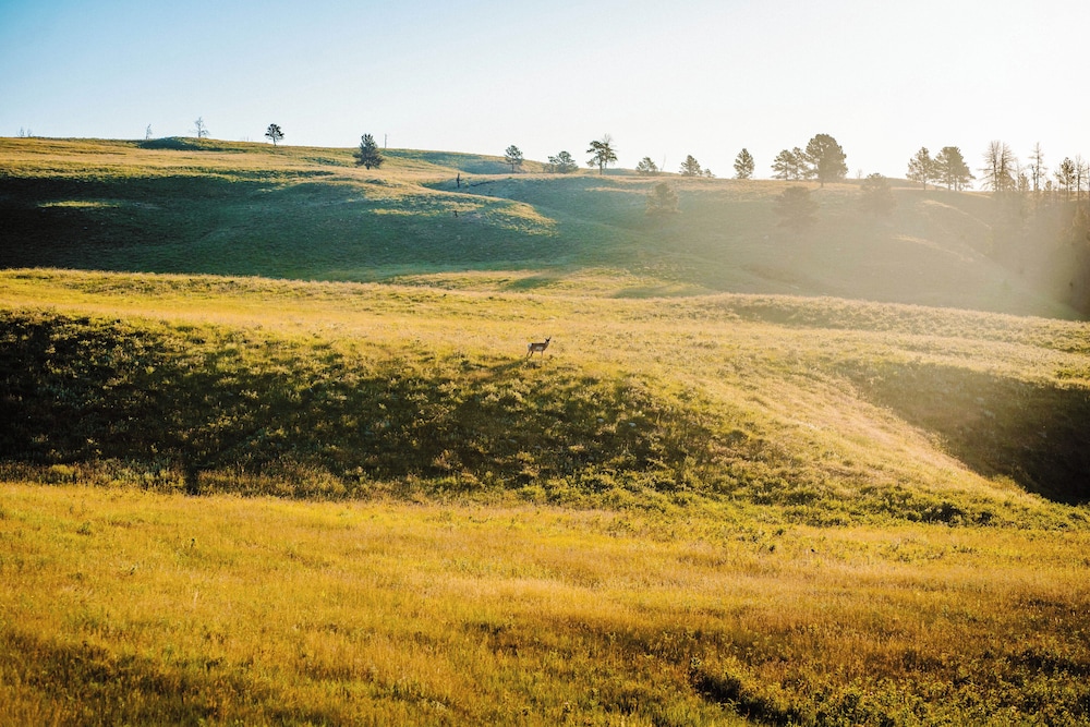 State Game Lodge at Custer State Park Resort