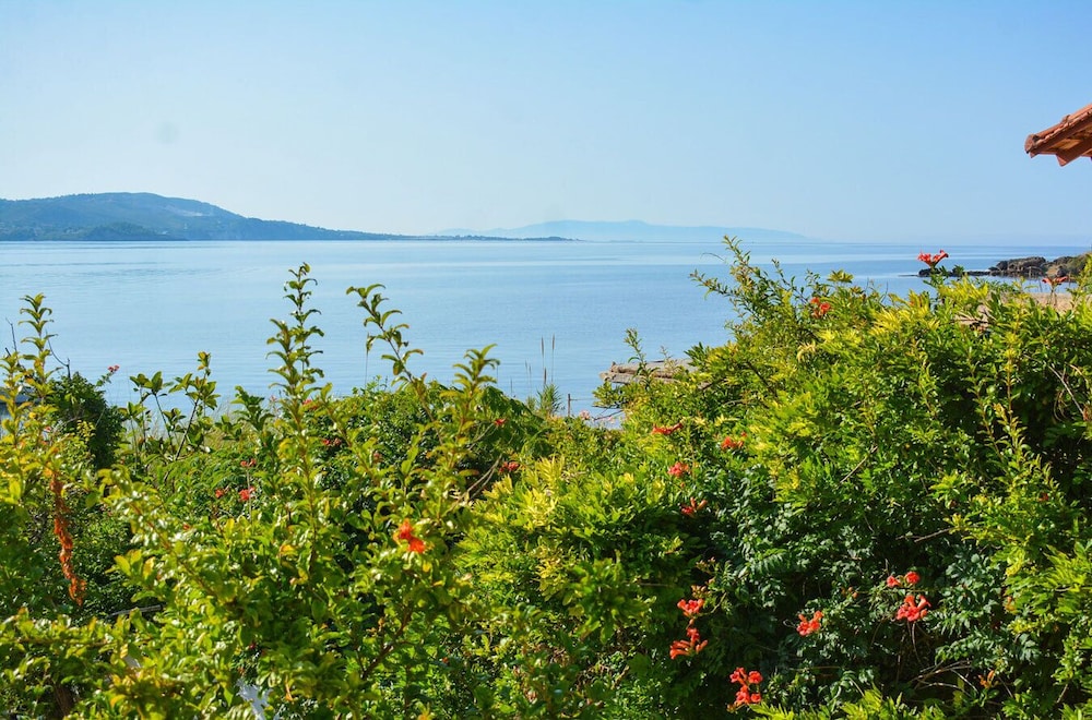 Alekos Beach Houses - Alekos Beach Complex
