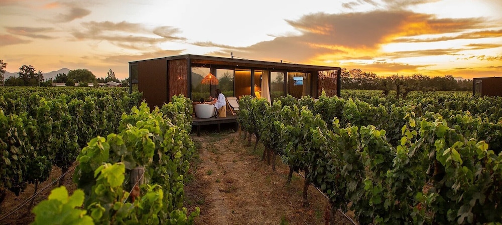 Vibo Wine Lodge