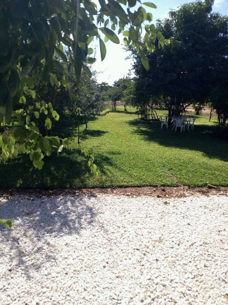 Photo 22