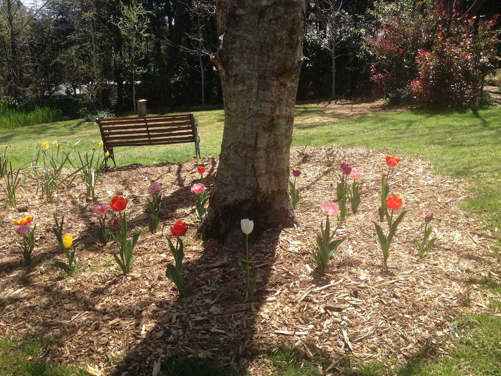 Bethany Manor Bed & Breakfast