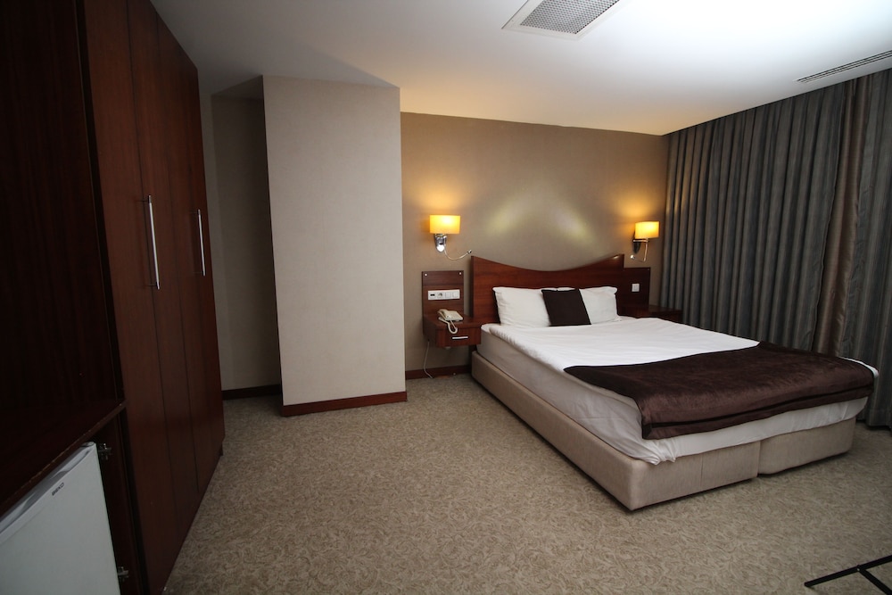 Vali Erdogan Konuk Evi Hitit Otel - Image 16