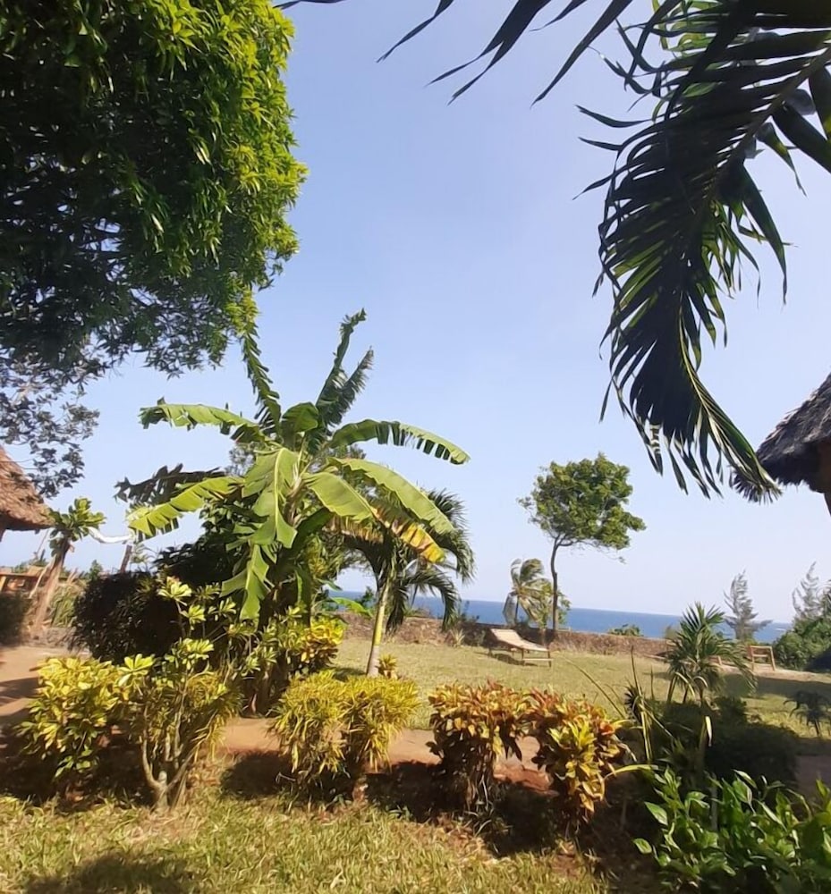 Mango Lodge Msambweni view 2