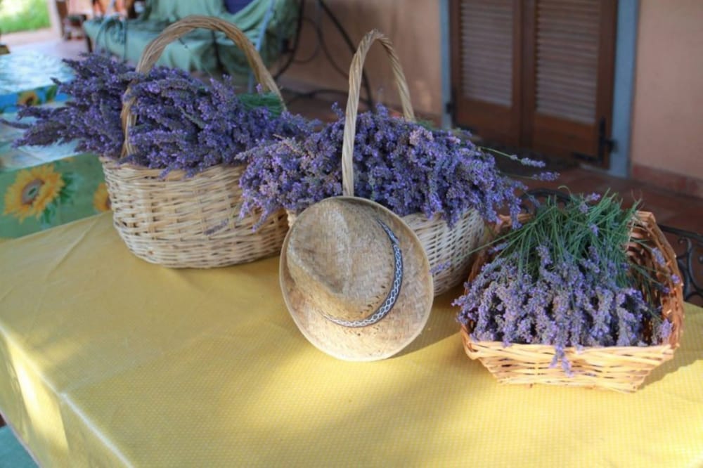 Agriturismo Bio Fattoria Casetta