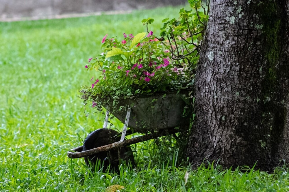 Pousada Fazenda Polyanna