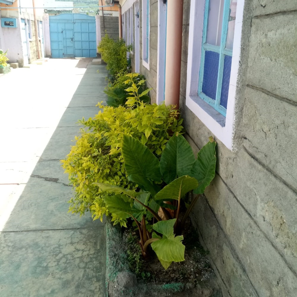 Photo 12