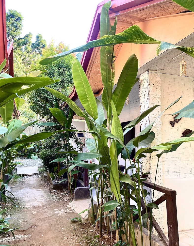 Jungle Hostel El Nido view 5