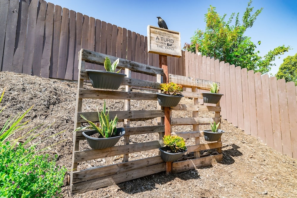 Lux - Charming San Marcos 2BR Patio Pet-friendly