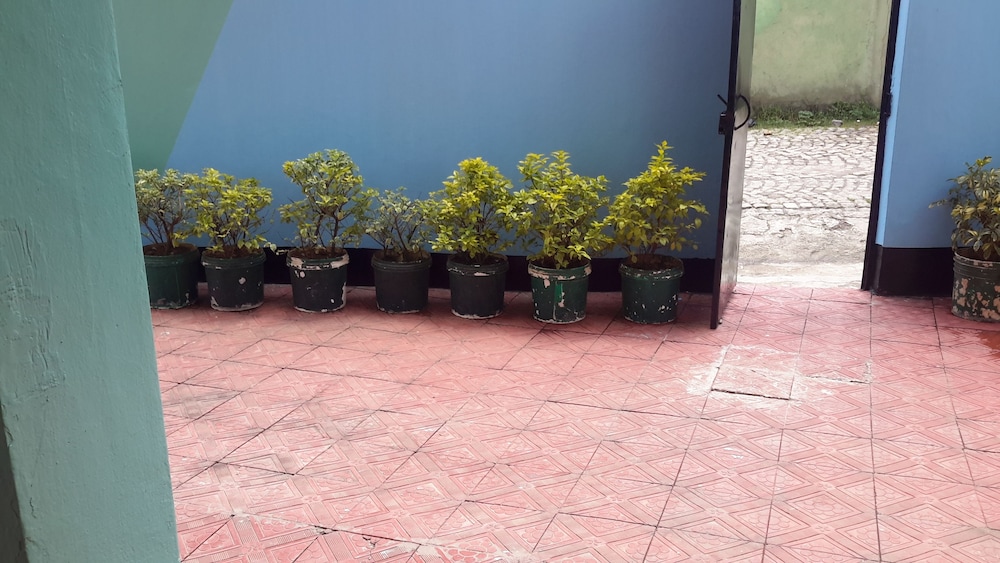 Photo 6