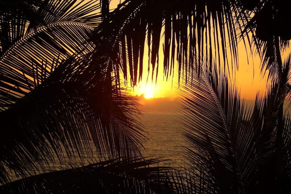 Punta Brava