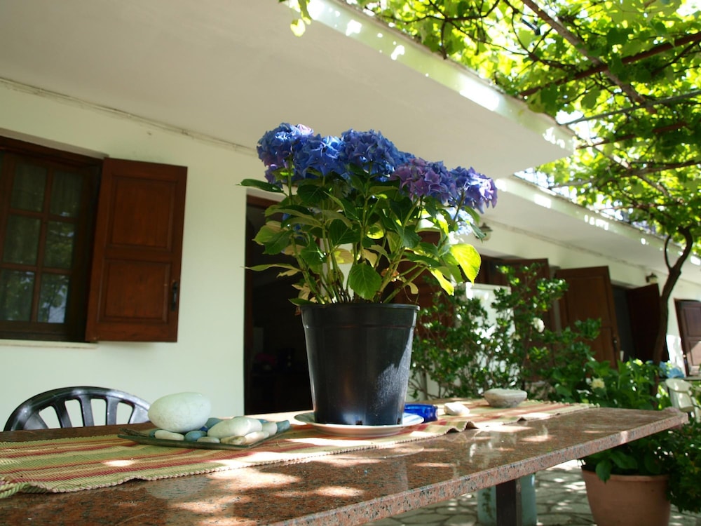 Paradeisos Studio With Garden View view 3