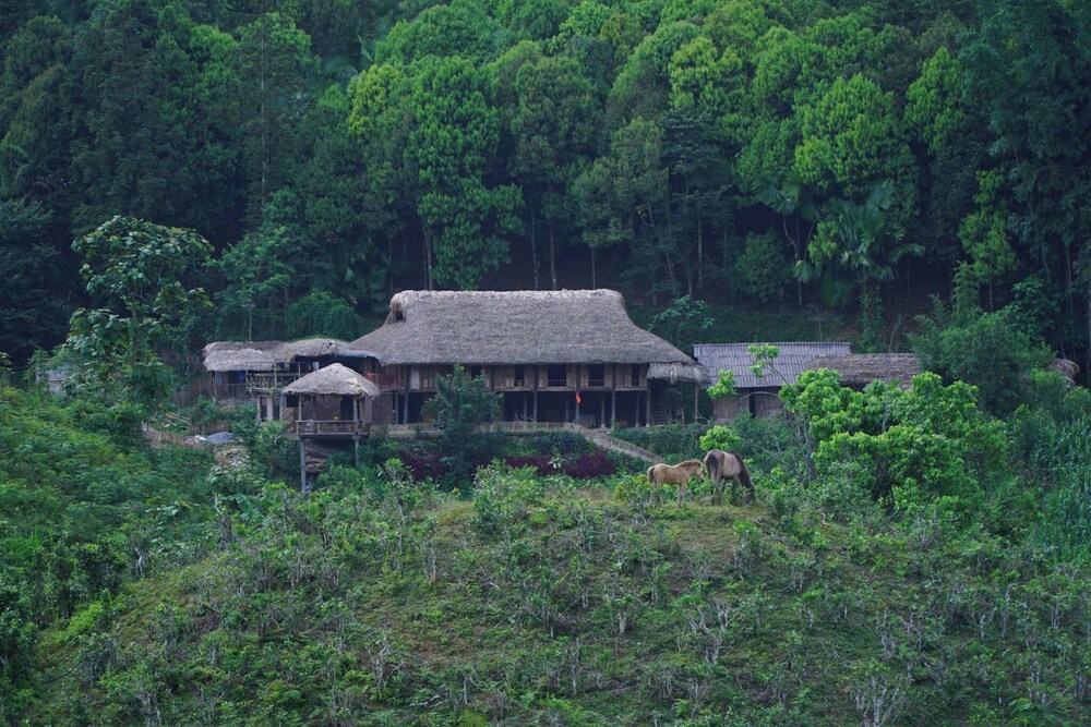 Ban Lien Homestay