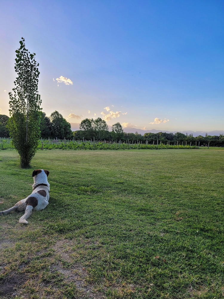 Finca La Saucina
