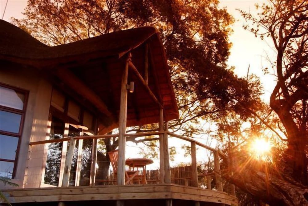 Nambiti Plains Private Game Lodge
