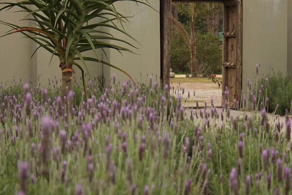 Plett River Lodge