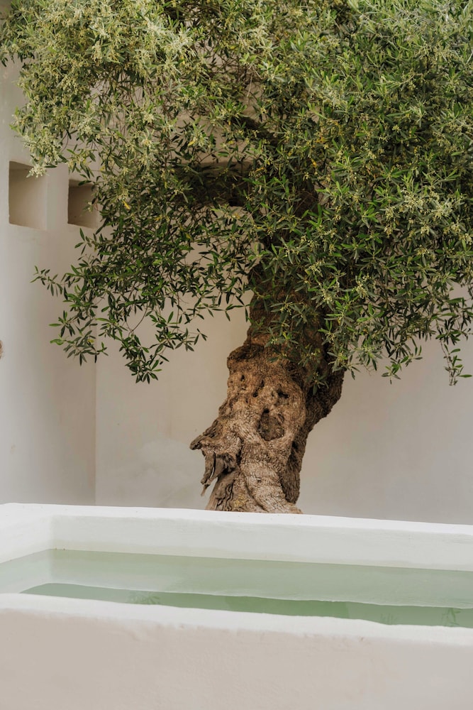 Masseria della Piana Ostuni